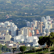 Pereira